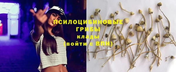 МДПВ Белокуриха