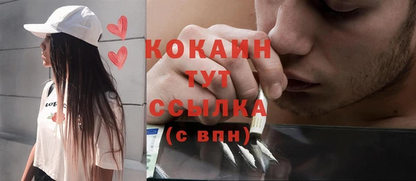 стаф Богданович